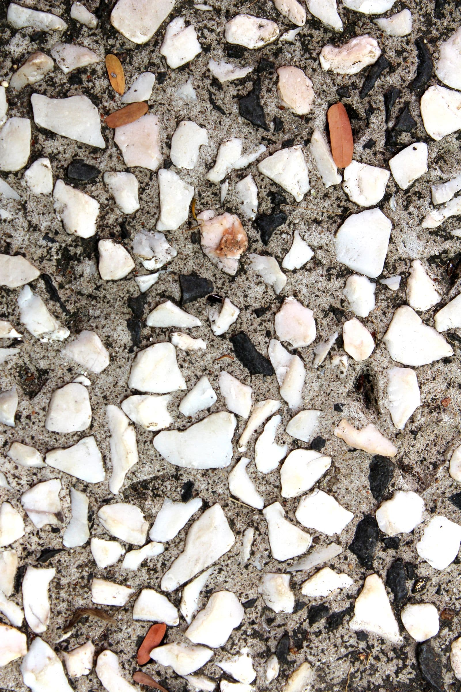 Decorative Concrete Finishes: Stamped, Stained, Exposed Aggregate & More