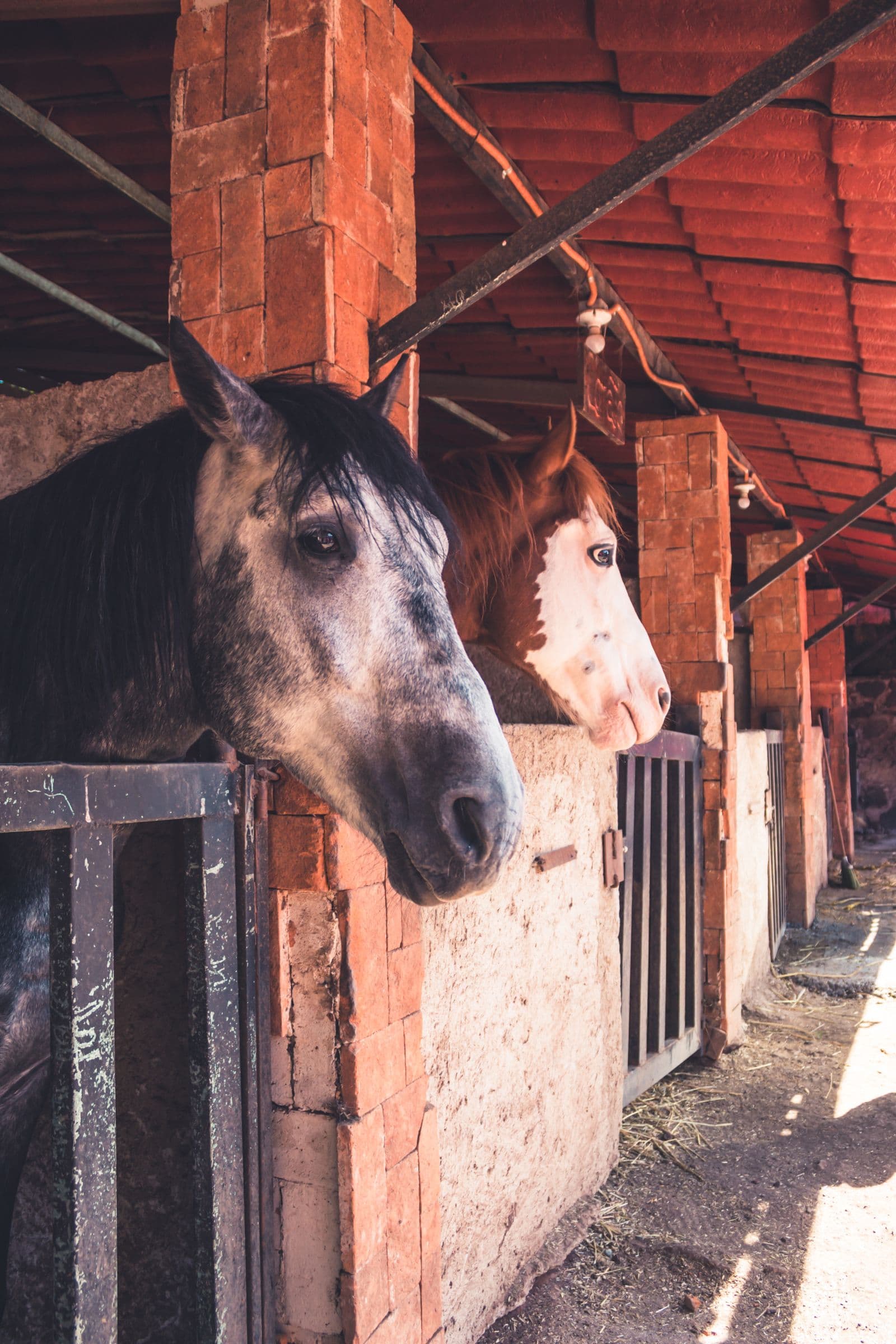 Barn, Stall & Equestrian Concrete in Ocala, FL