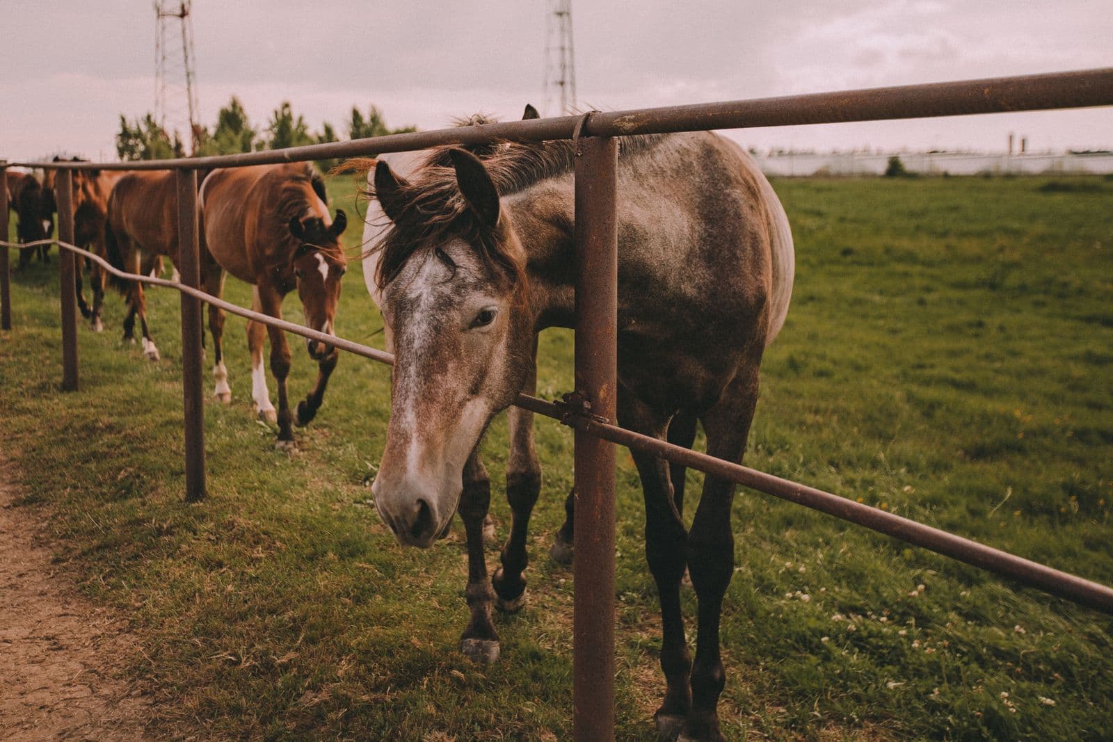 Farm & Ranch Driveways in Ocala: Concrete vs. Gravel
