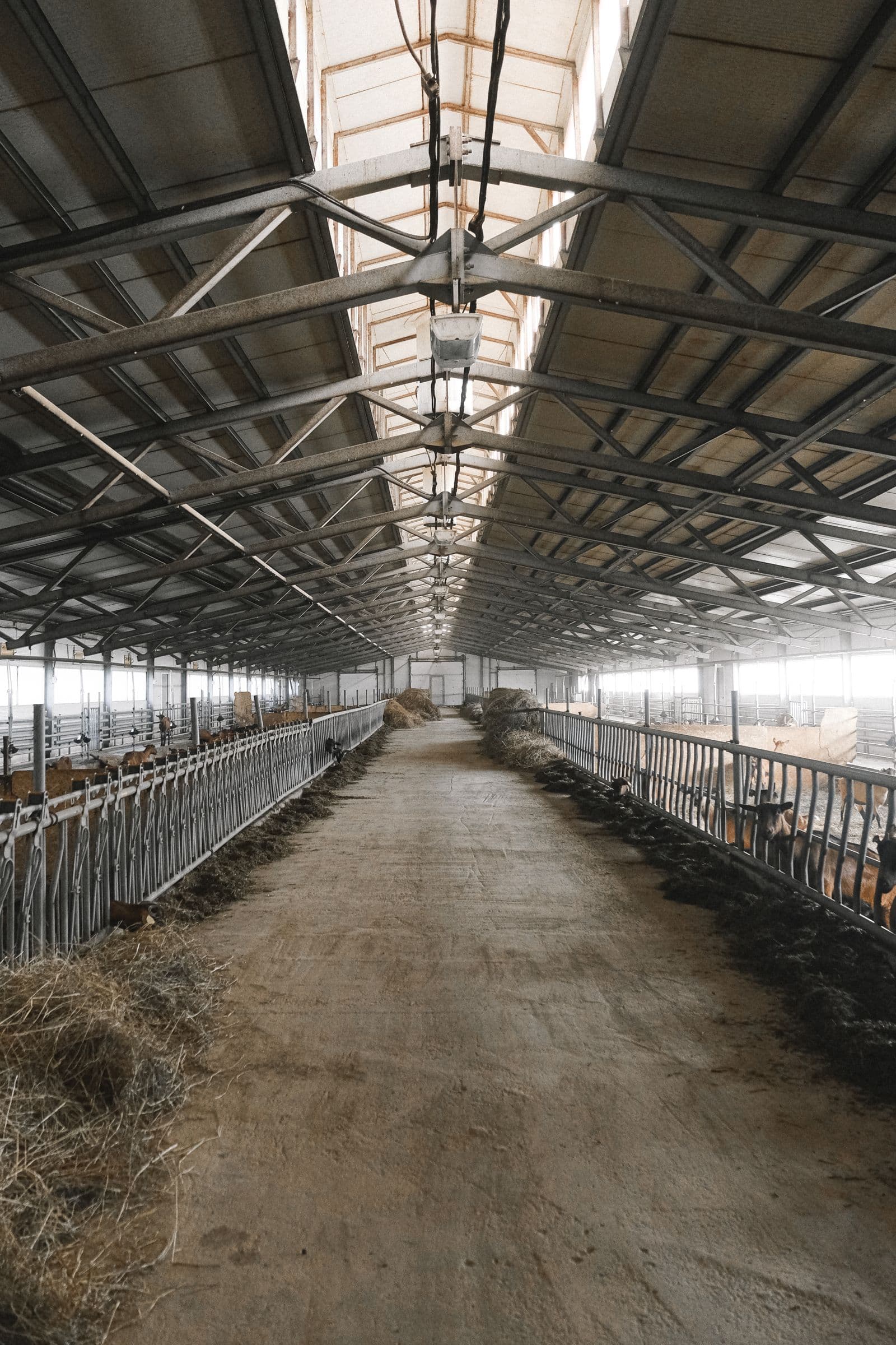Pole Barn Concrete: Slabs, Floors & Foundations in Ocala